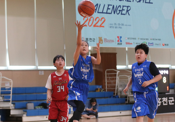 온양동신초 전유하